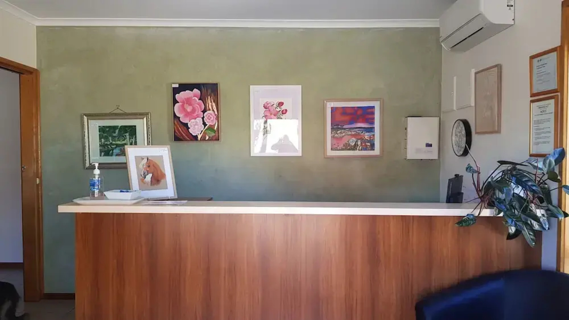 Finley Palm Motor Inn