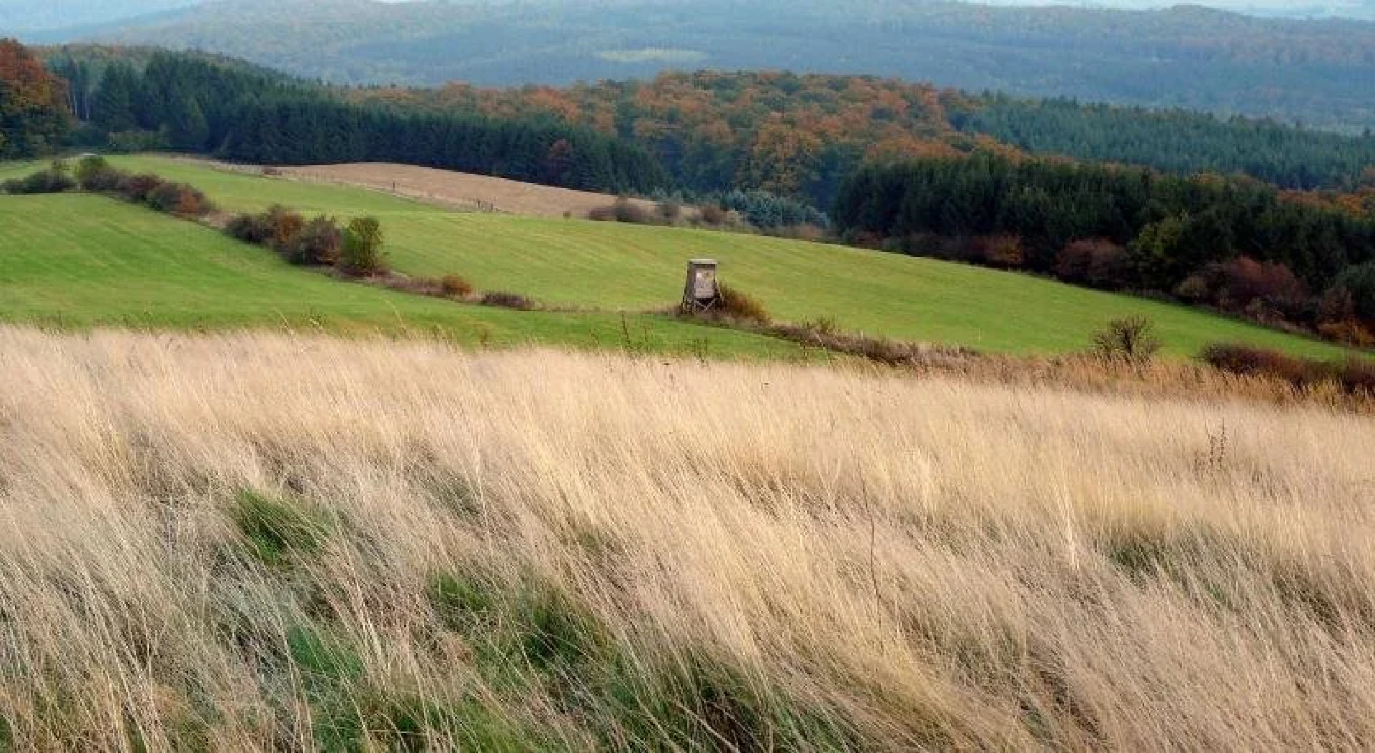 Gästehaus am Räuschenberg