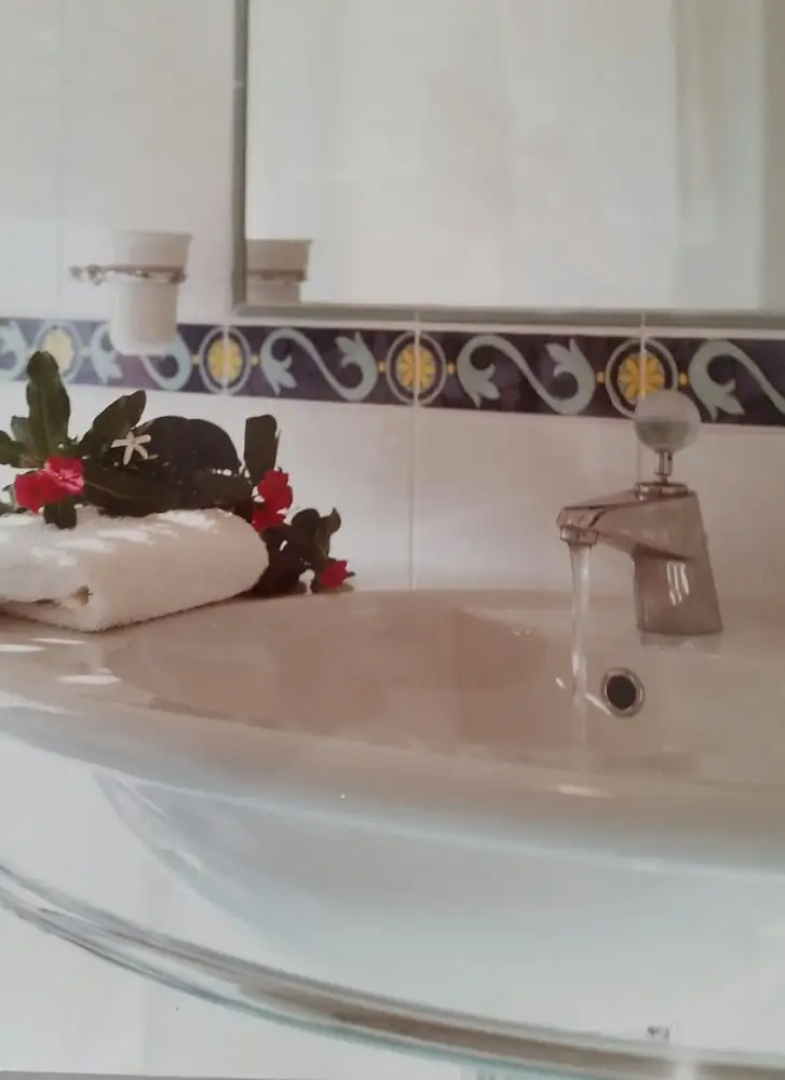Hotel Dino