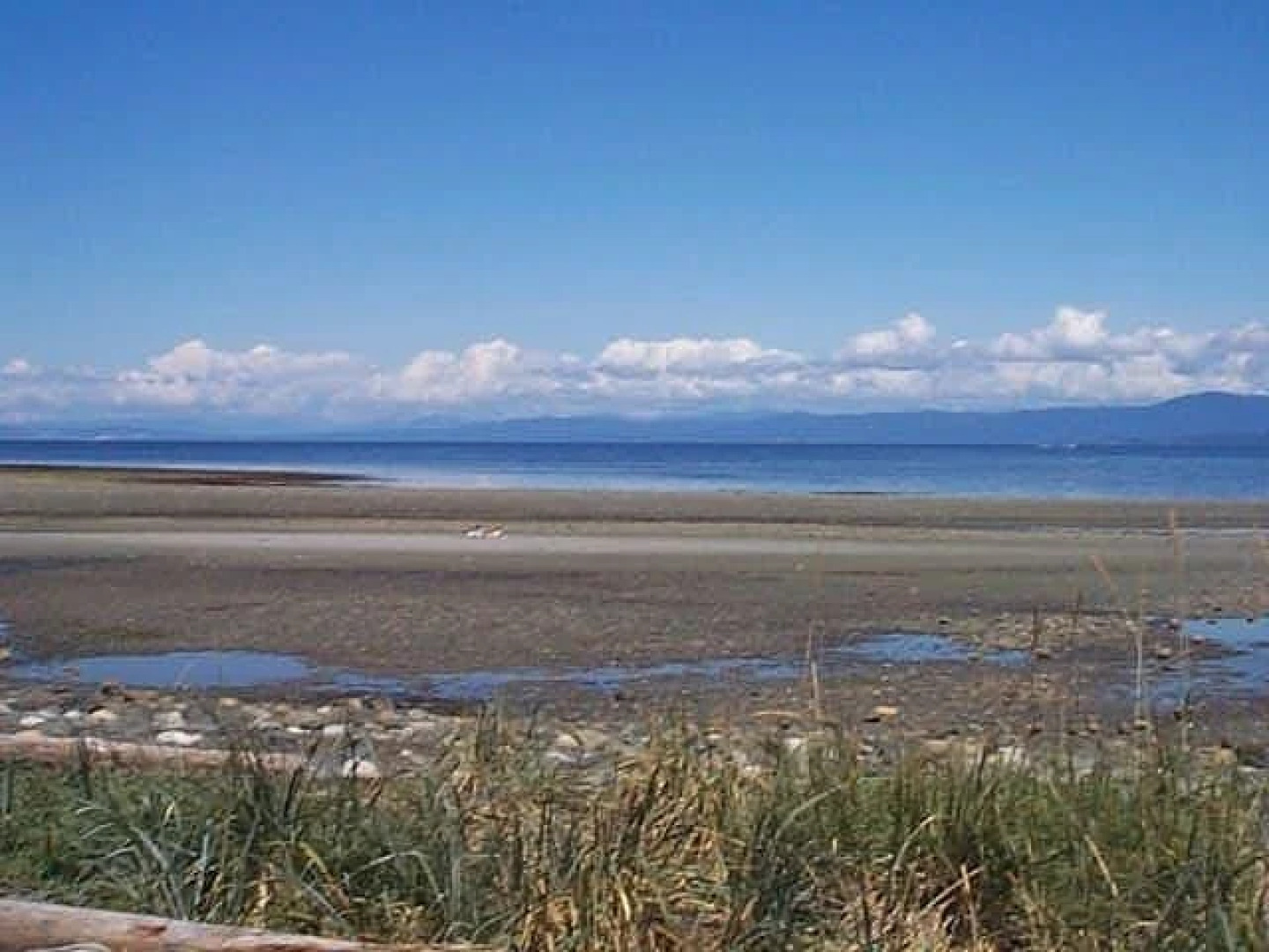 Qualicum Beach House