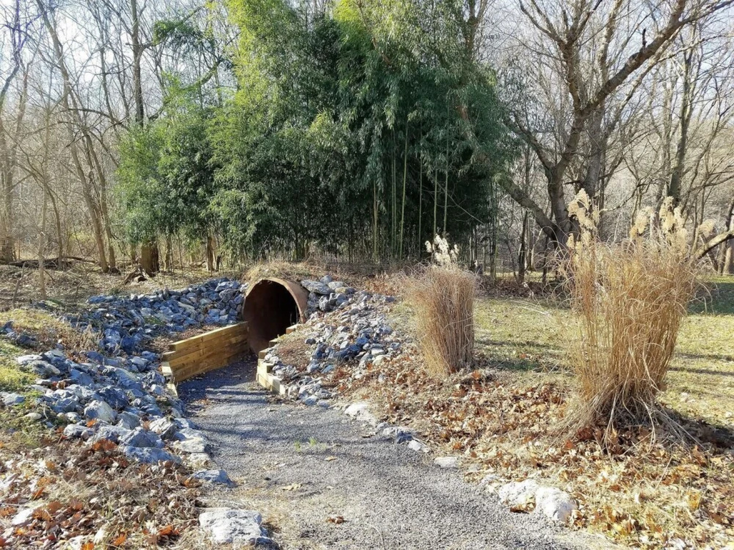 The Shuck- Christophers Riverside Cabin
