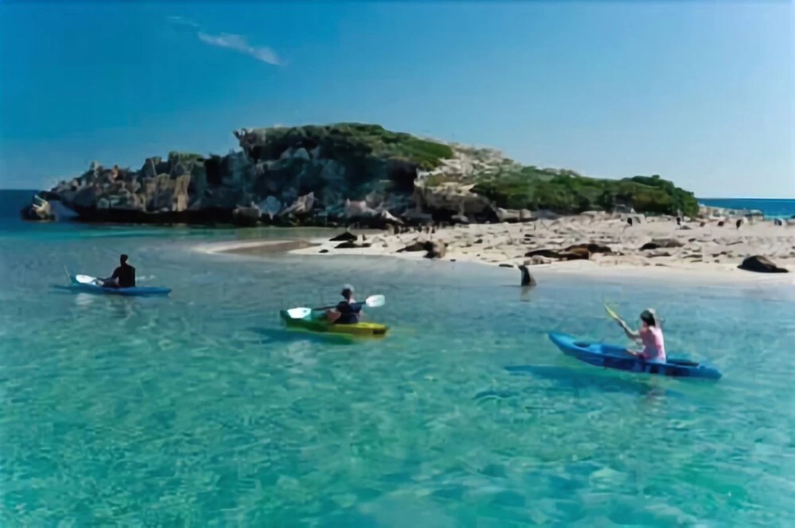 The Royal Dolphin B&B in Safety Bay