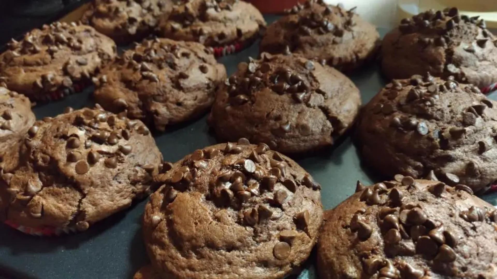 Agriturismo Terra del Sole