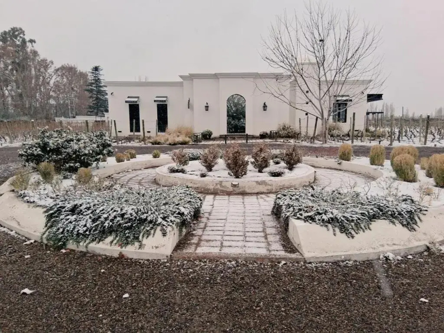 Viamonte Winery Lodge