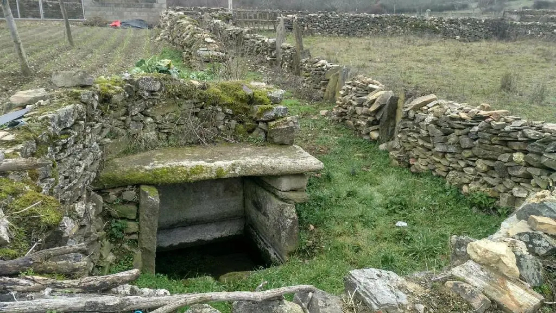 Albergue Agustina - Hostel