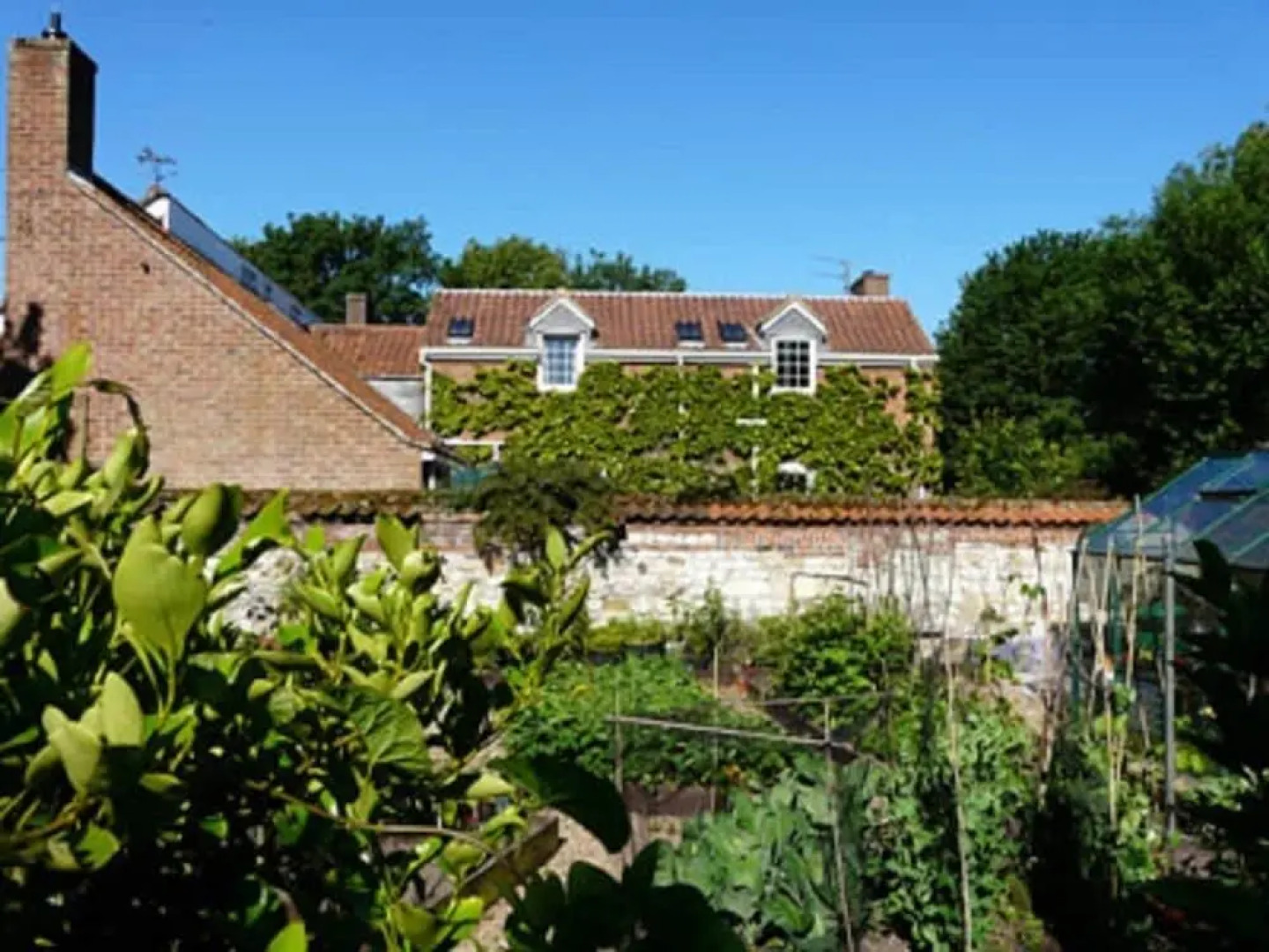 Pine Lodge Bed And Breakfast