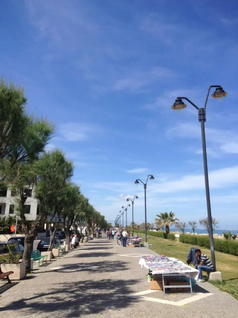 Venetico Il Gatto E La Volpe 2