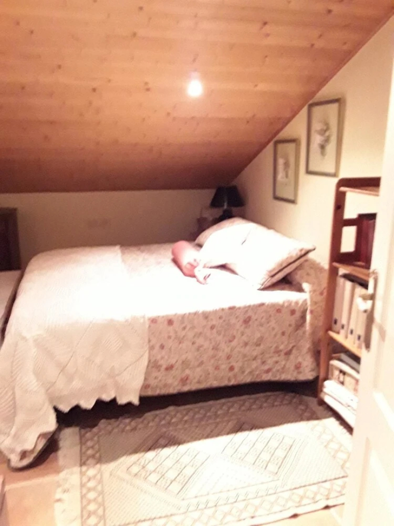 House With 3 Bedrooms in Ourense, With Wifi - 70 km From the Slopes