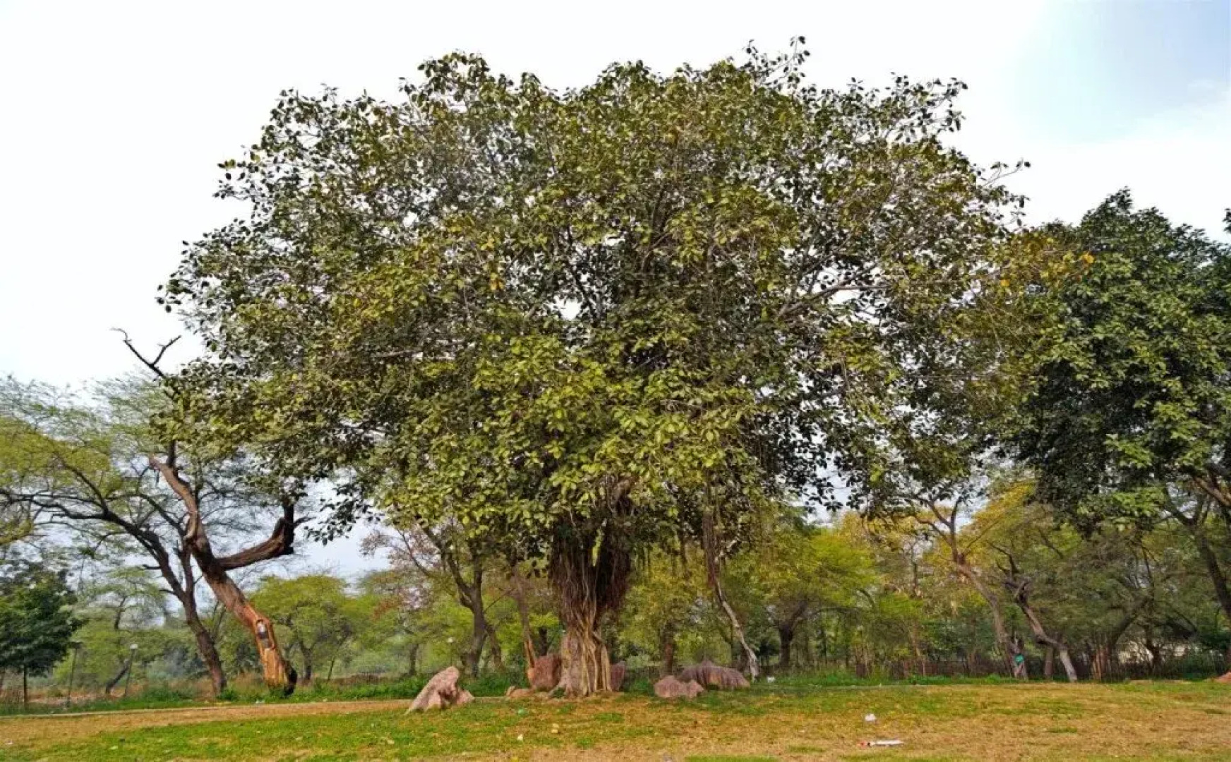Hotel Palazzo Di Lara By OYO Rooms