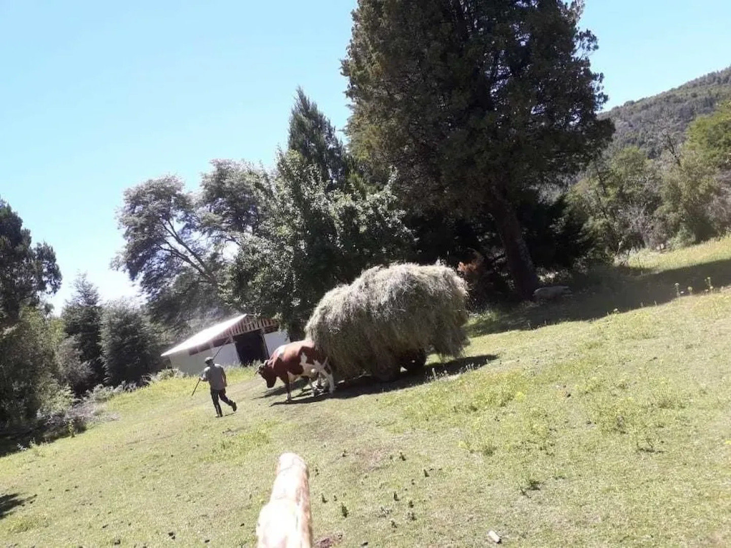 Cabaña Corral Rio Puelo