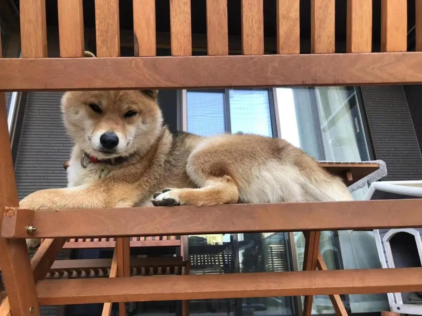 Guesthouse Gifu SUAI