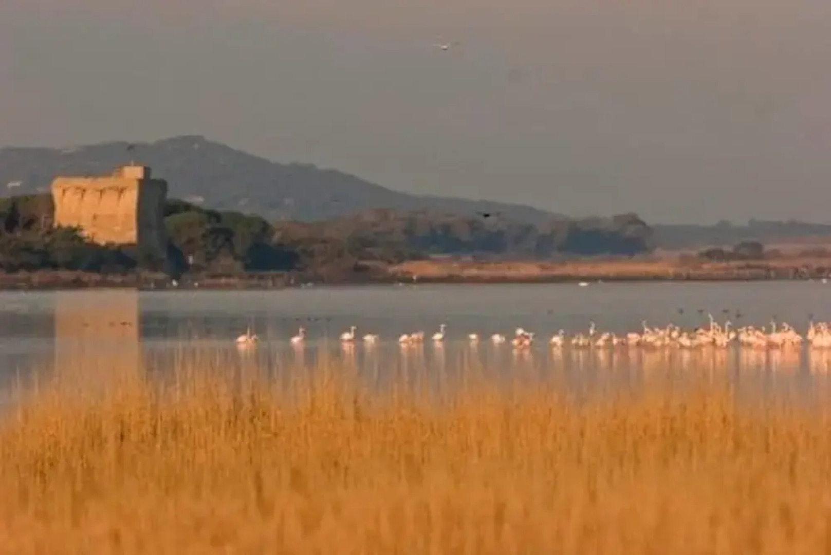 VILLA in TUSCAN MAREMMA. SEA&COUNTRYSIDE CAPALBIO Holiday home 8 BestStayz.1