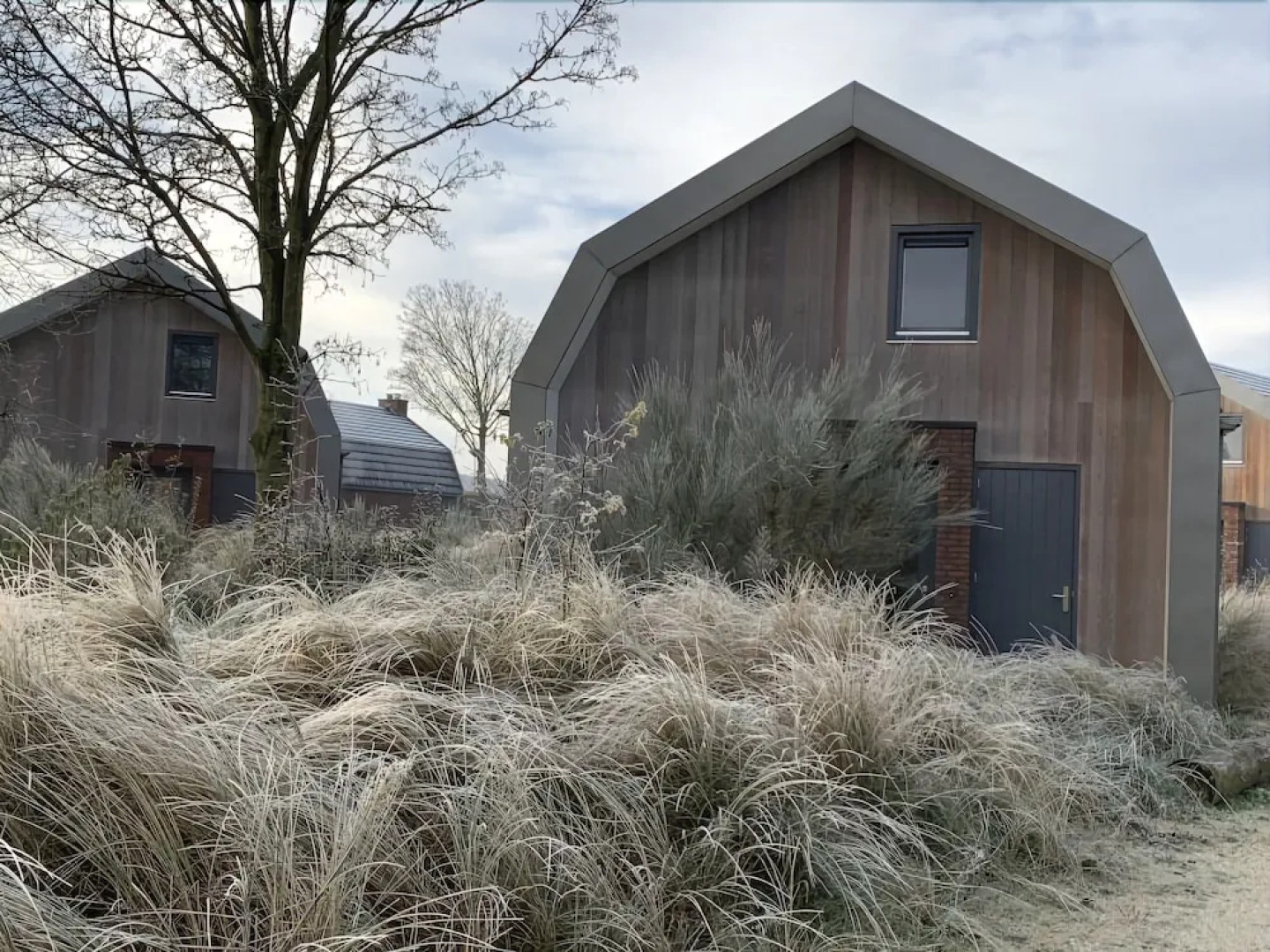 Duinroos Egmond nr 16