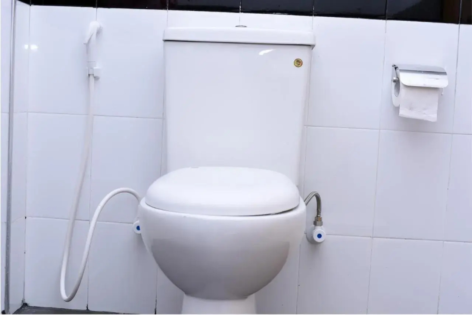 Sun and Green Eco Lodge