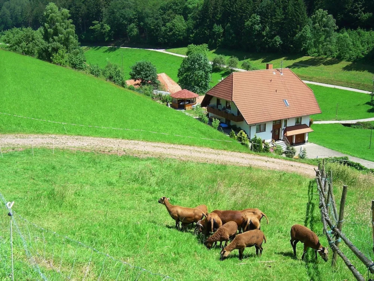 Apartment in Hofstetten Surrounded by Nature