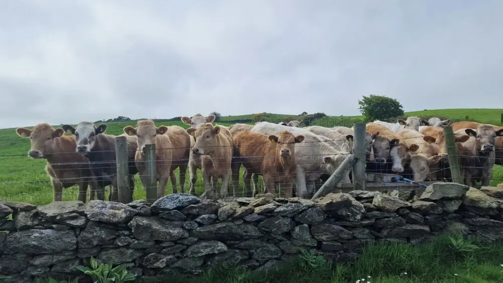 Seaside Bliss Retreat - 5 Bedroom House