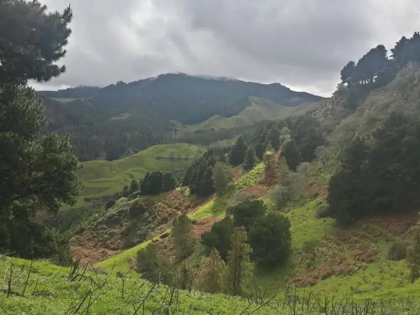 Seaside Bliss Villa in Fagajesto