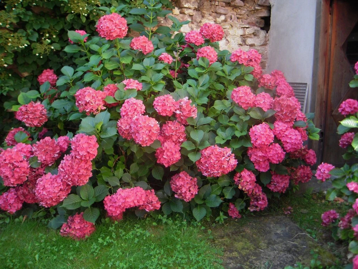 Chambres dhôtes La Parpaillotte