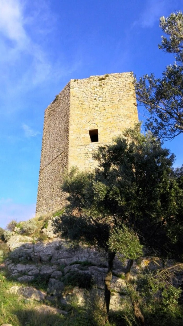 Affittimoderni Viddalba Bouganville - Vibo19