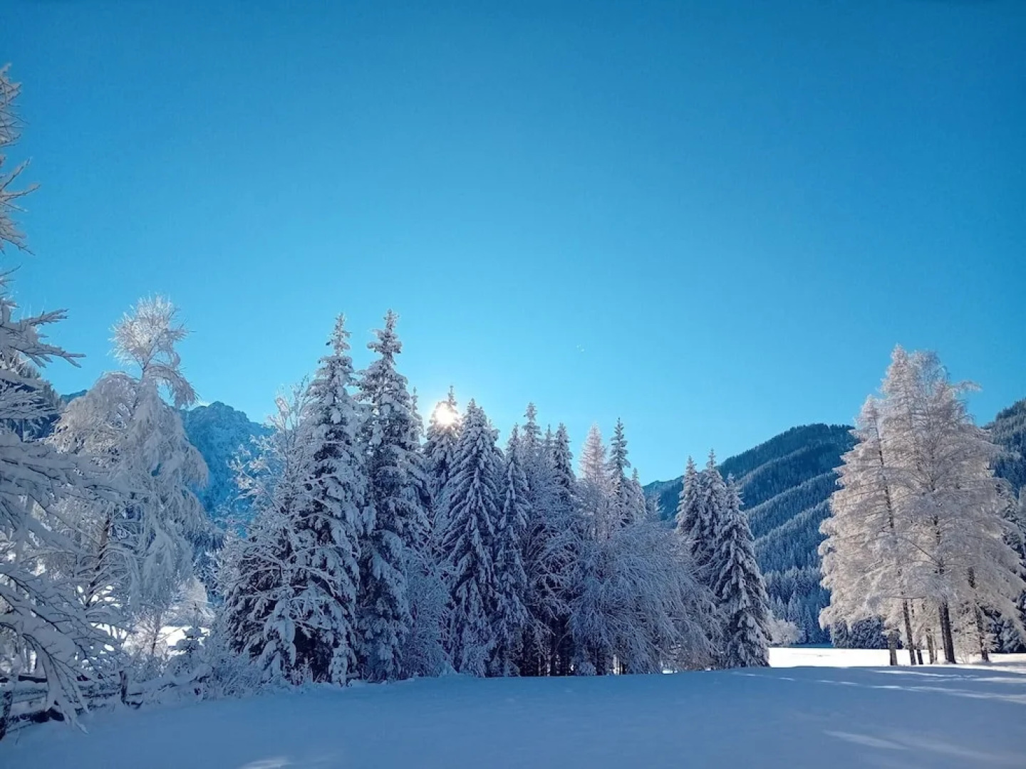 Secluded Apartment in Ferlach near Bodental Ski Lift