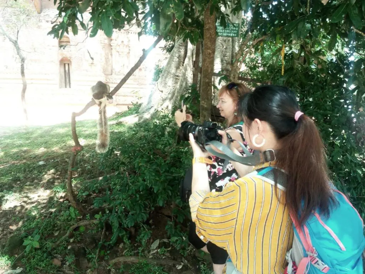 Priyanna Guest, Polonnaruwa