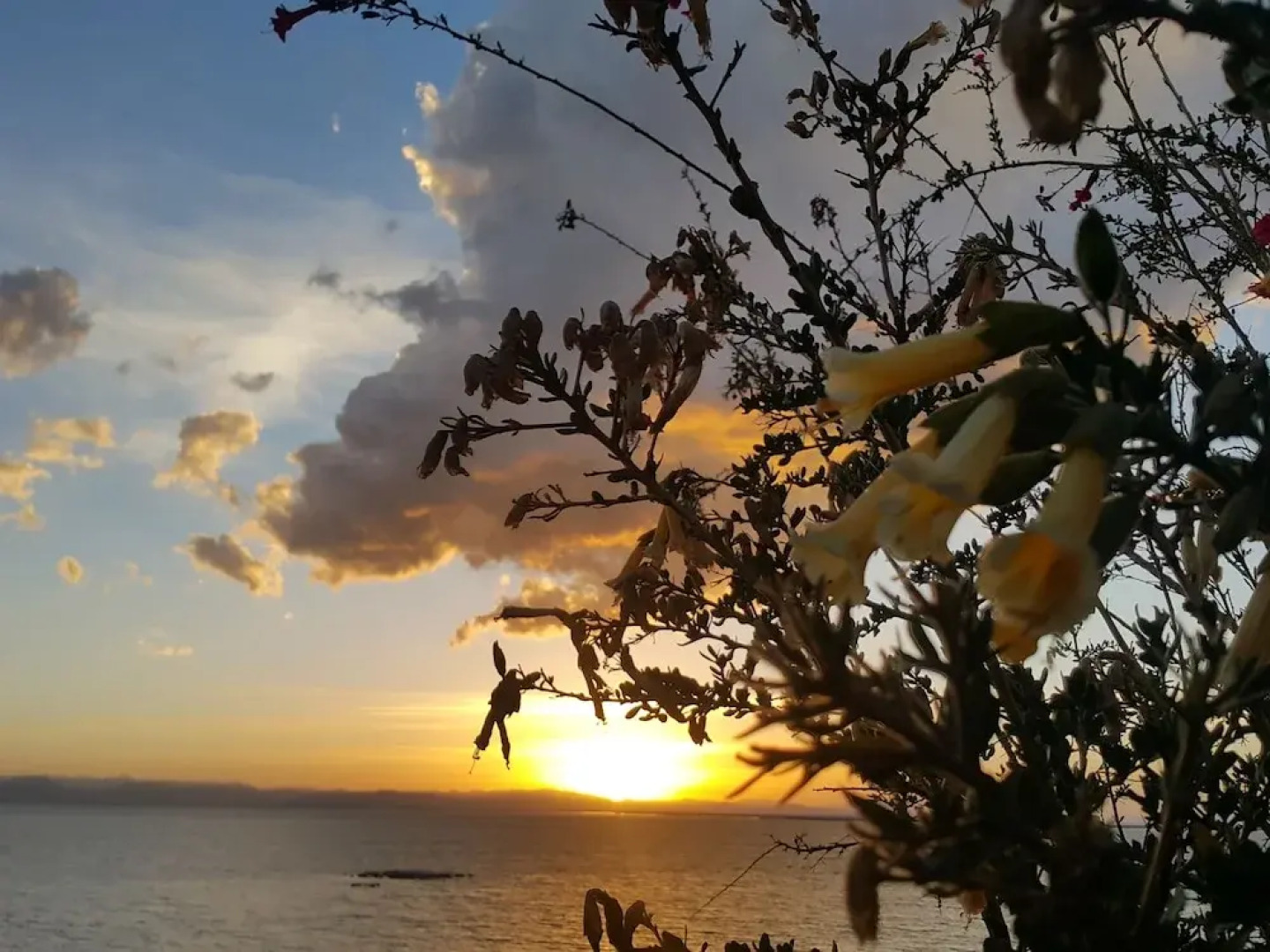 Ruphaq Wasi Lodge - Capachica - Llachon