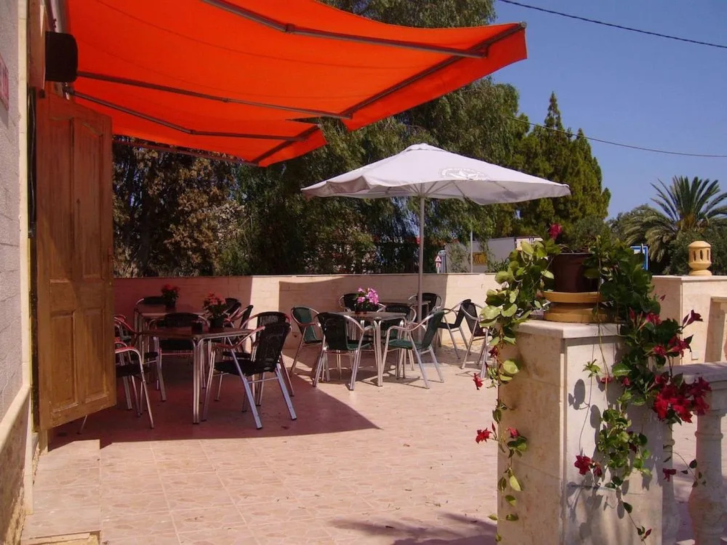 El Artista de Paraíso