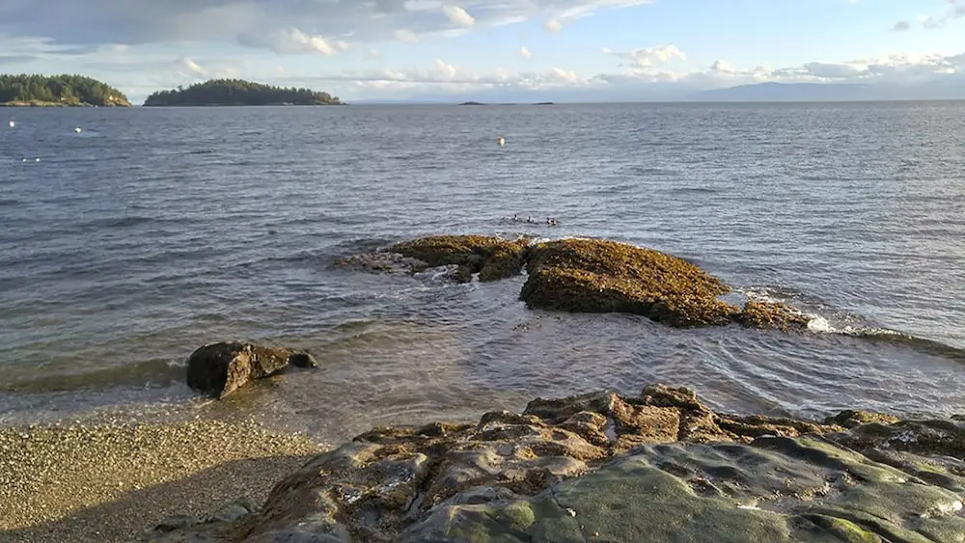 Sunshine Coast Treetop Wonderland