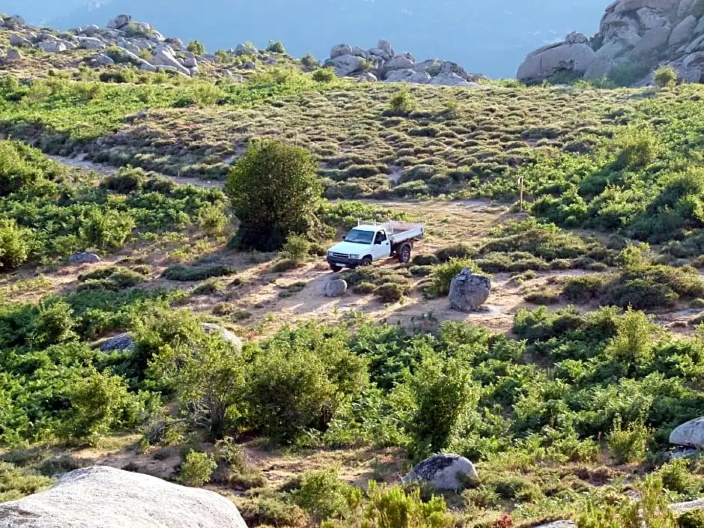 Chambres d'Hôtes Villa Cardellini