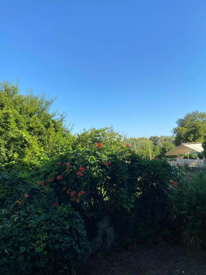 Filoxenia Apartments