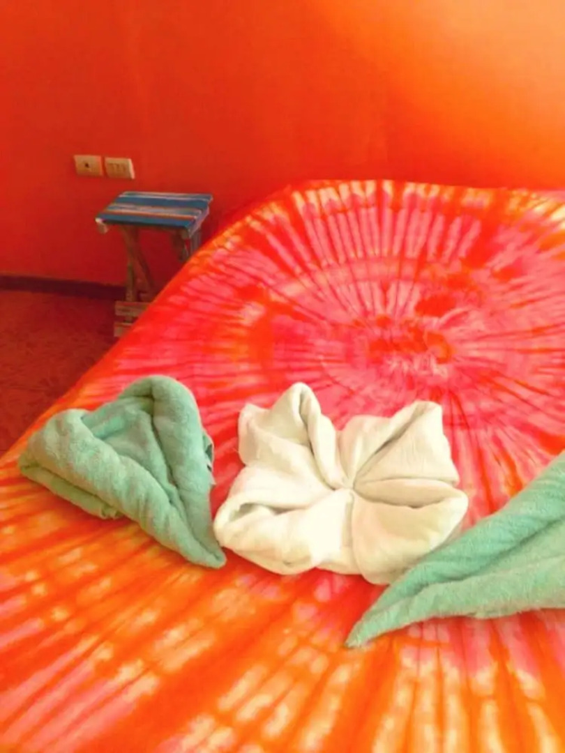 Beachfront manzanillo hotel - Hostel