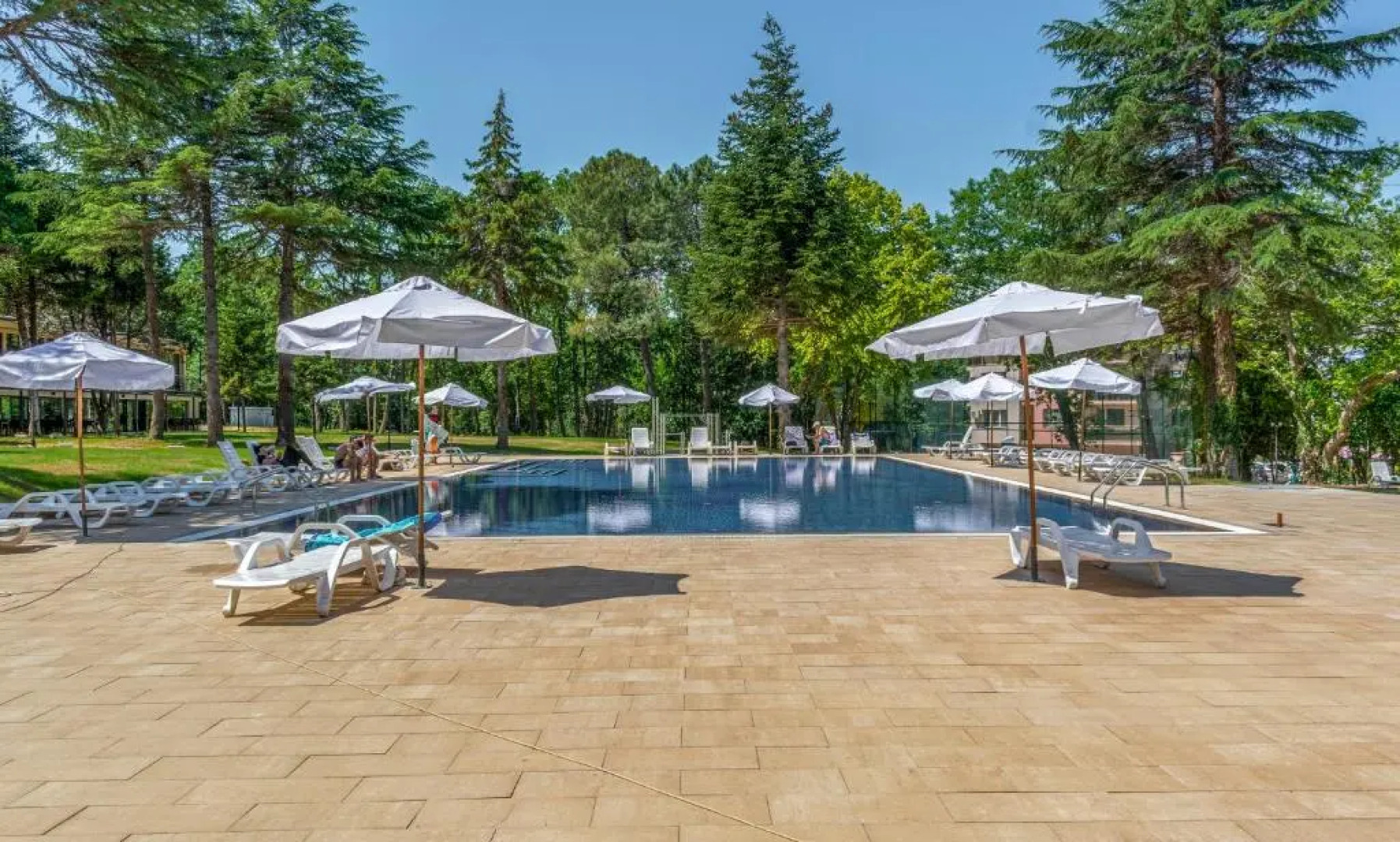 Queen Nelly Hotel Park