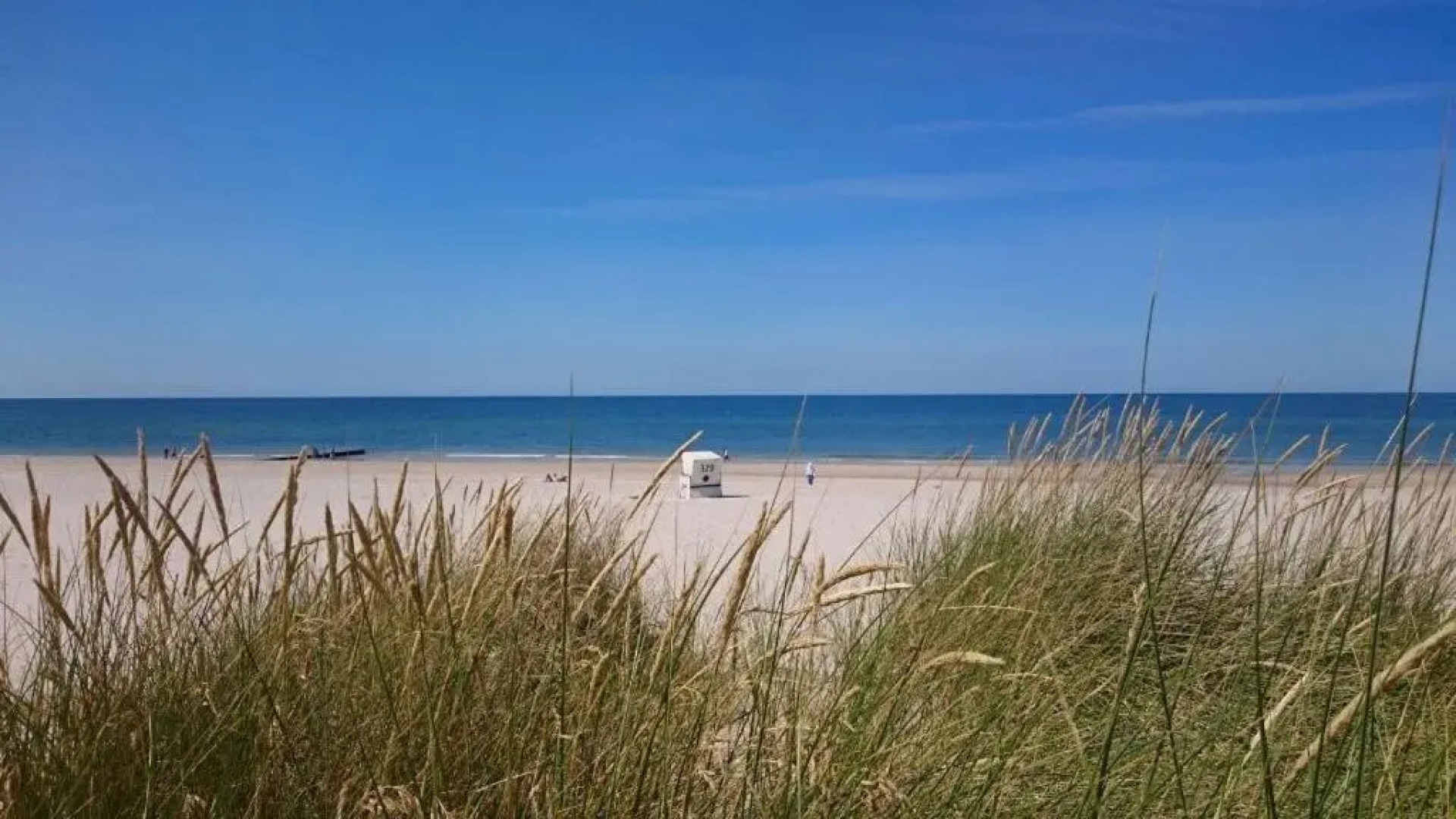 Gemütliches 2-Zimmer-Appartement mit Balkon Richtung Süden.