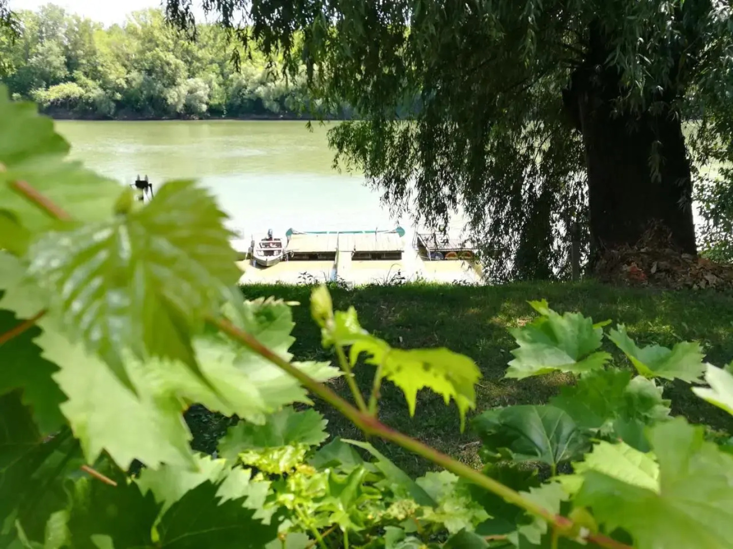 Tiszavirág Vendégház