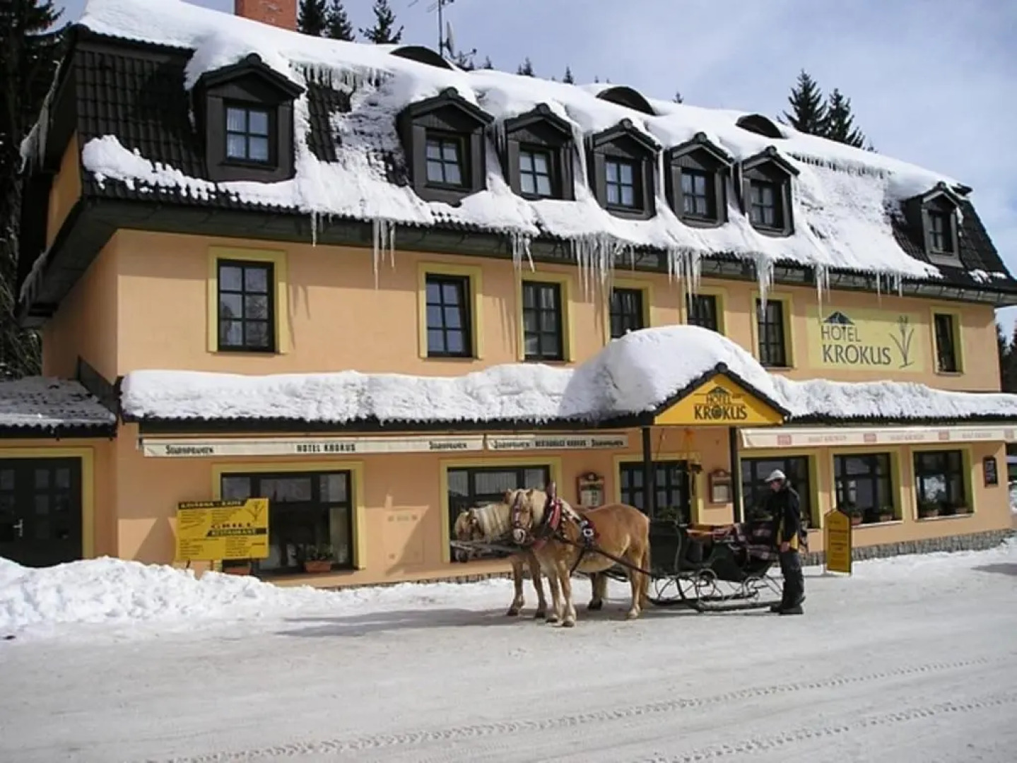 Hotel Krokus