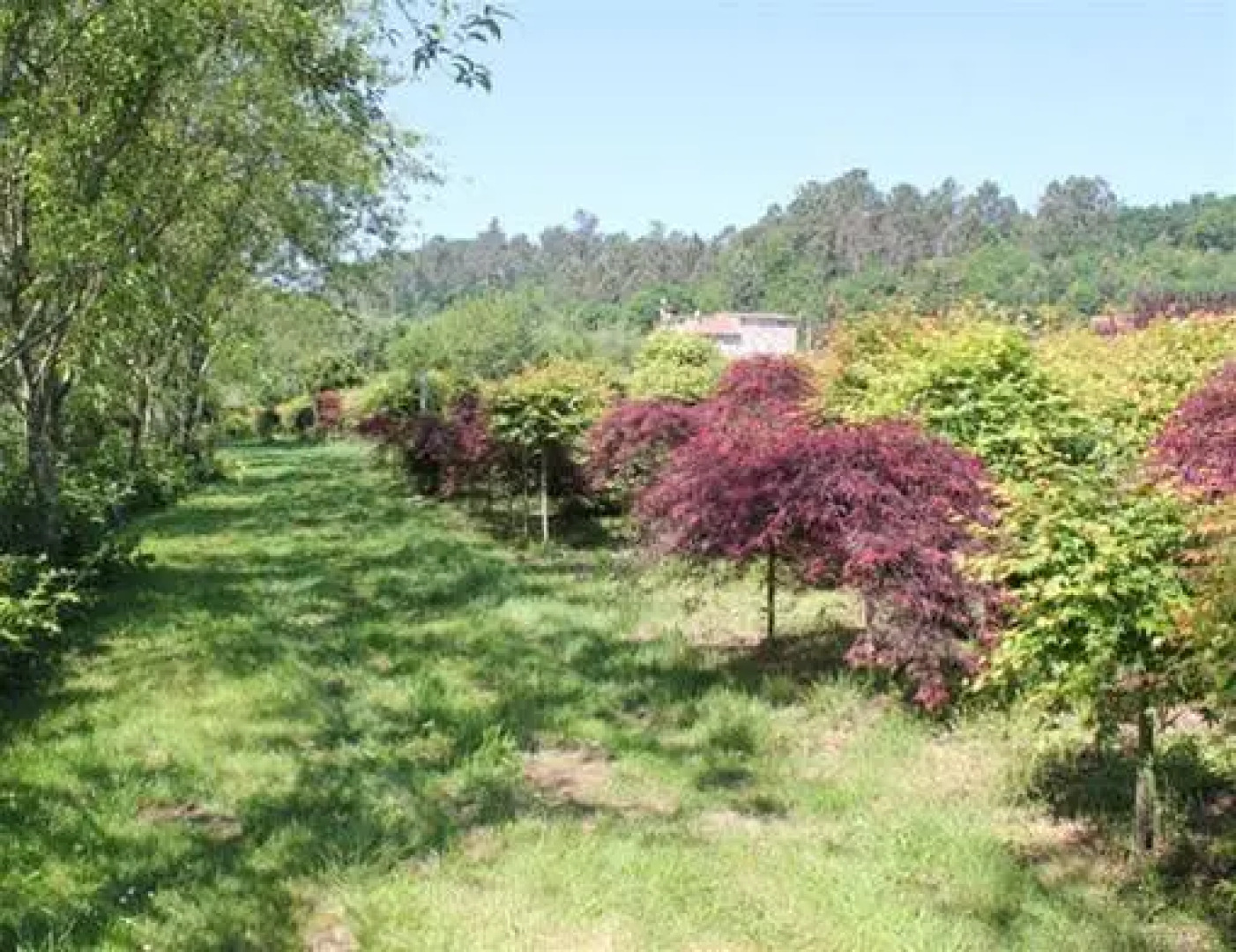 Casa Suárez Turismo Rural