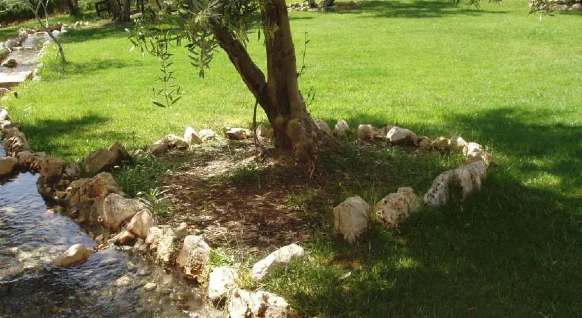 Apartamentos Turísticos los Llanos