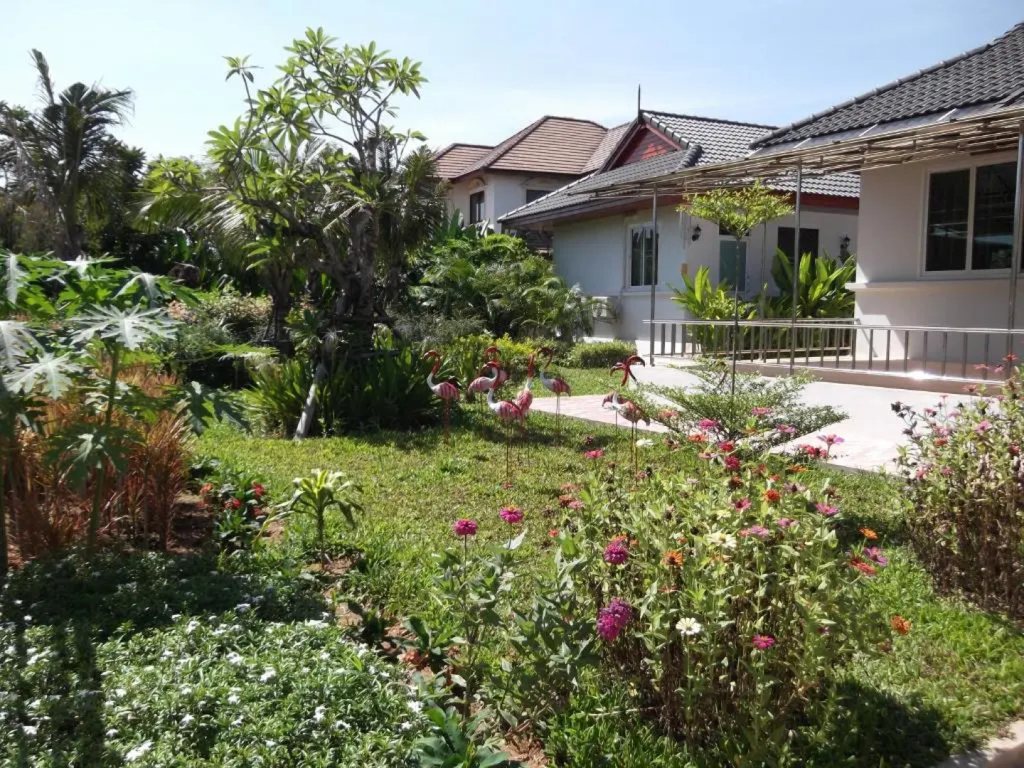 Nuch's Apple Guest House