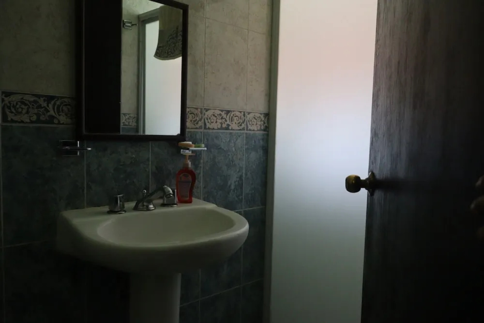 House of Ficus Banderilla,veracruz-mexico