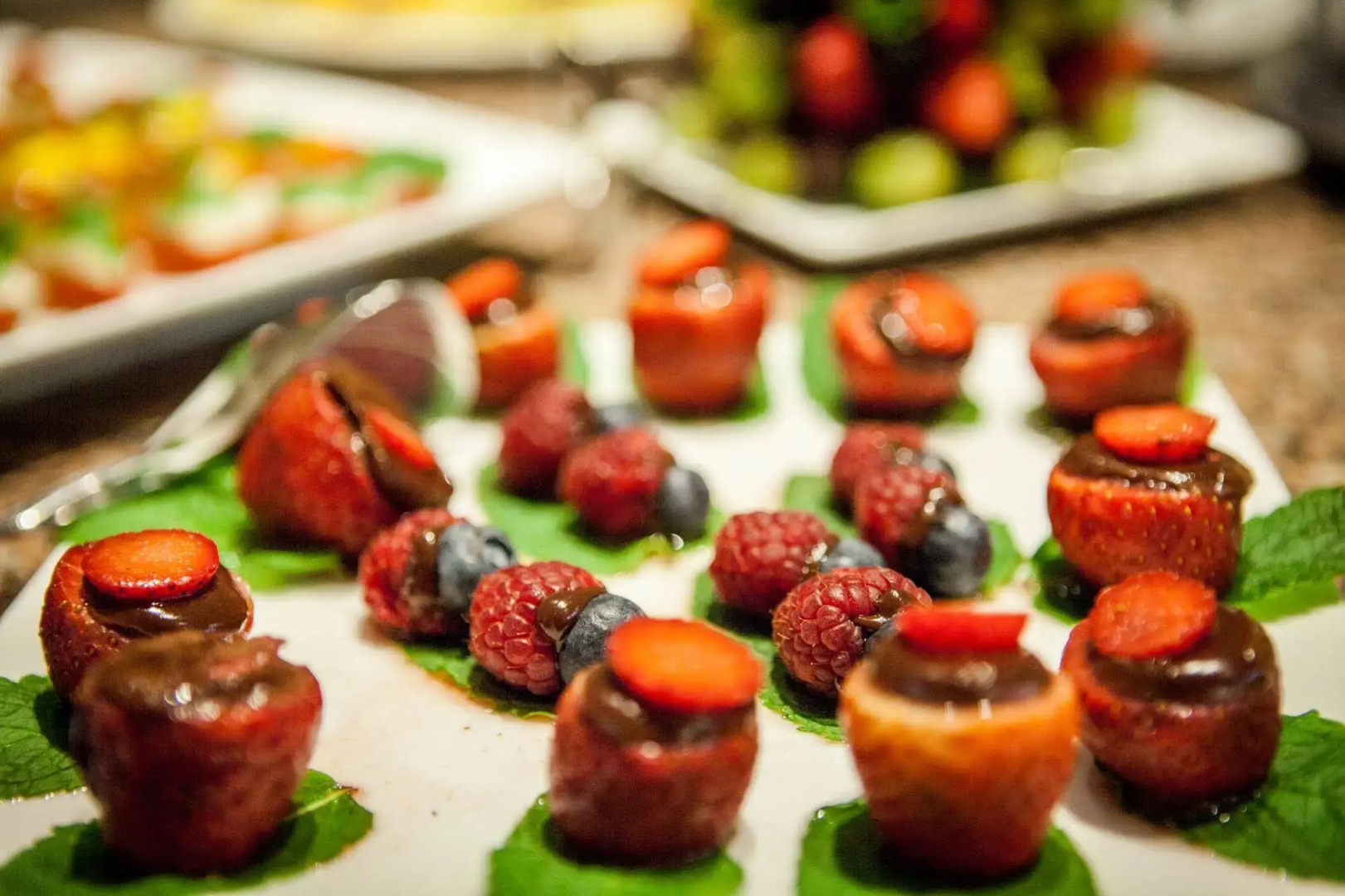 Charming Residence & Guest House Dom Manuel I (Adults only)