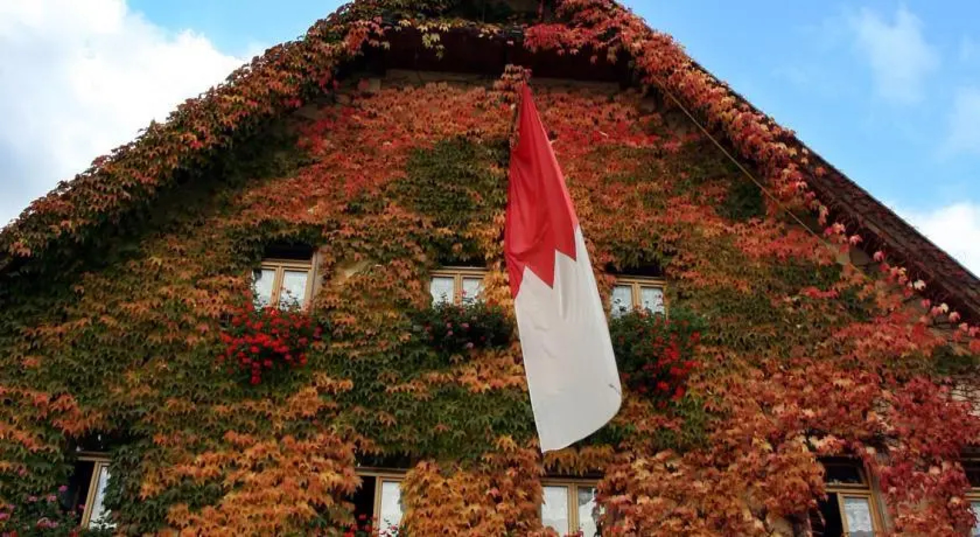 Hotel-Gasthof-Schiff