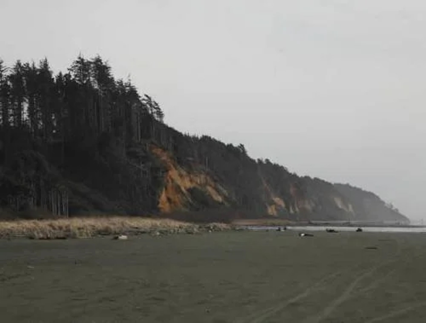 Sandpiper Beach Resort