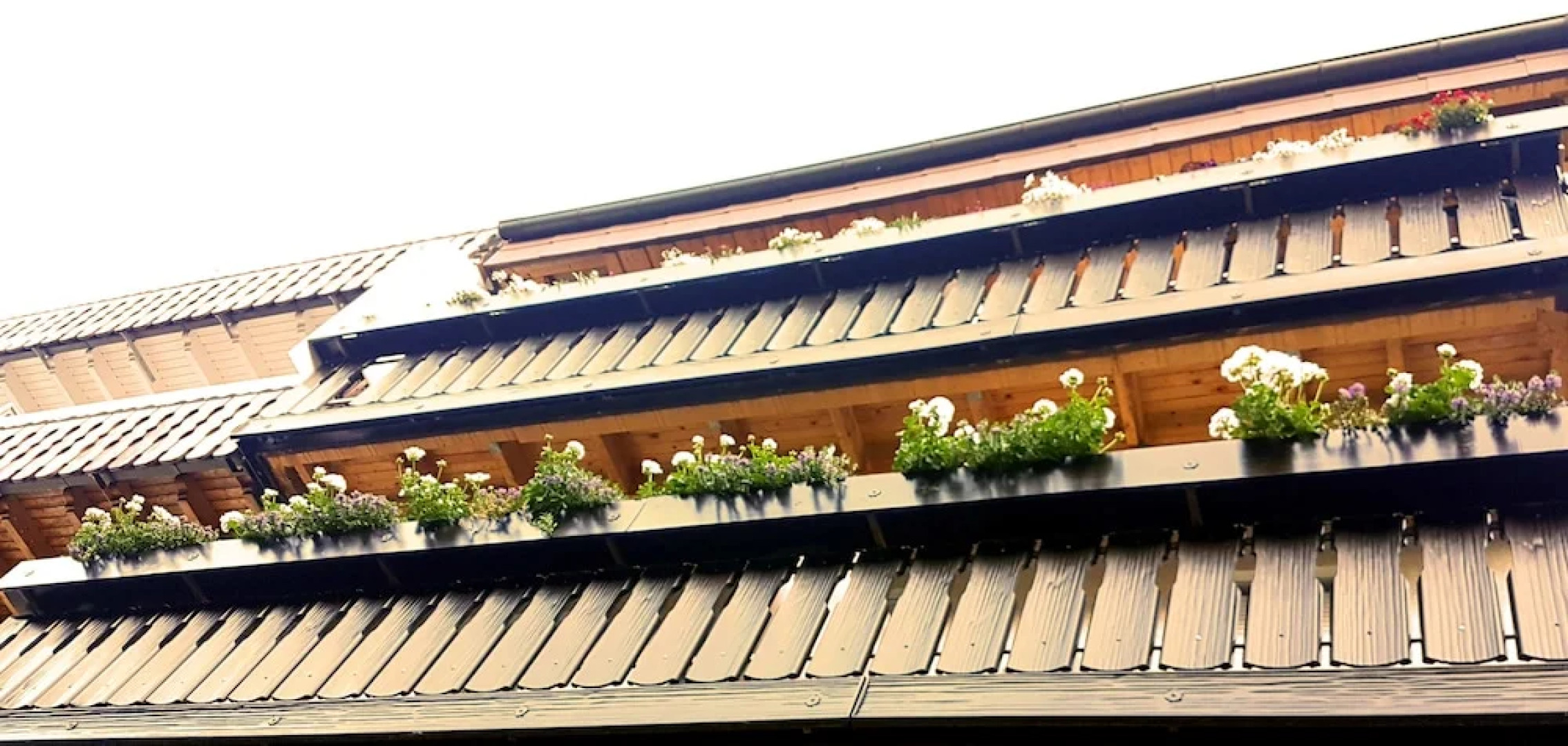 Silberburg Bad Wildbad