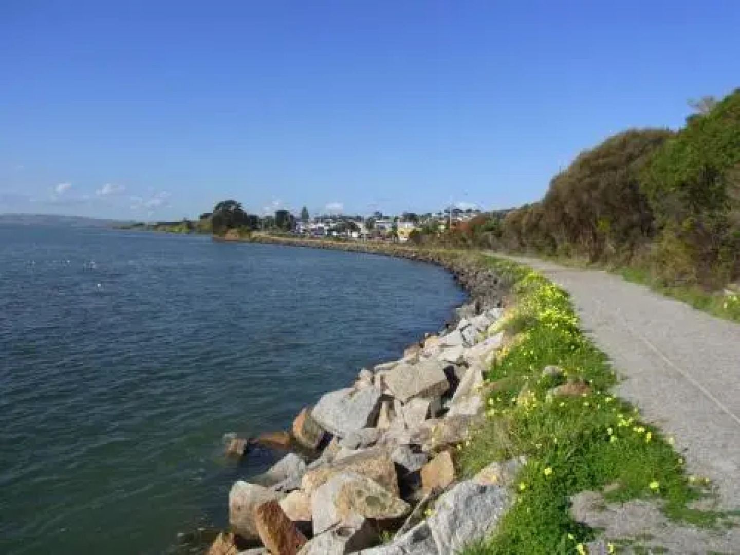 Black Dolphin Waterfront Apartment