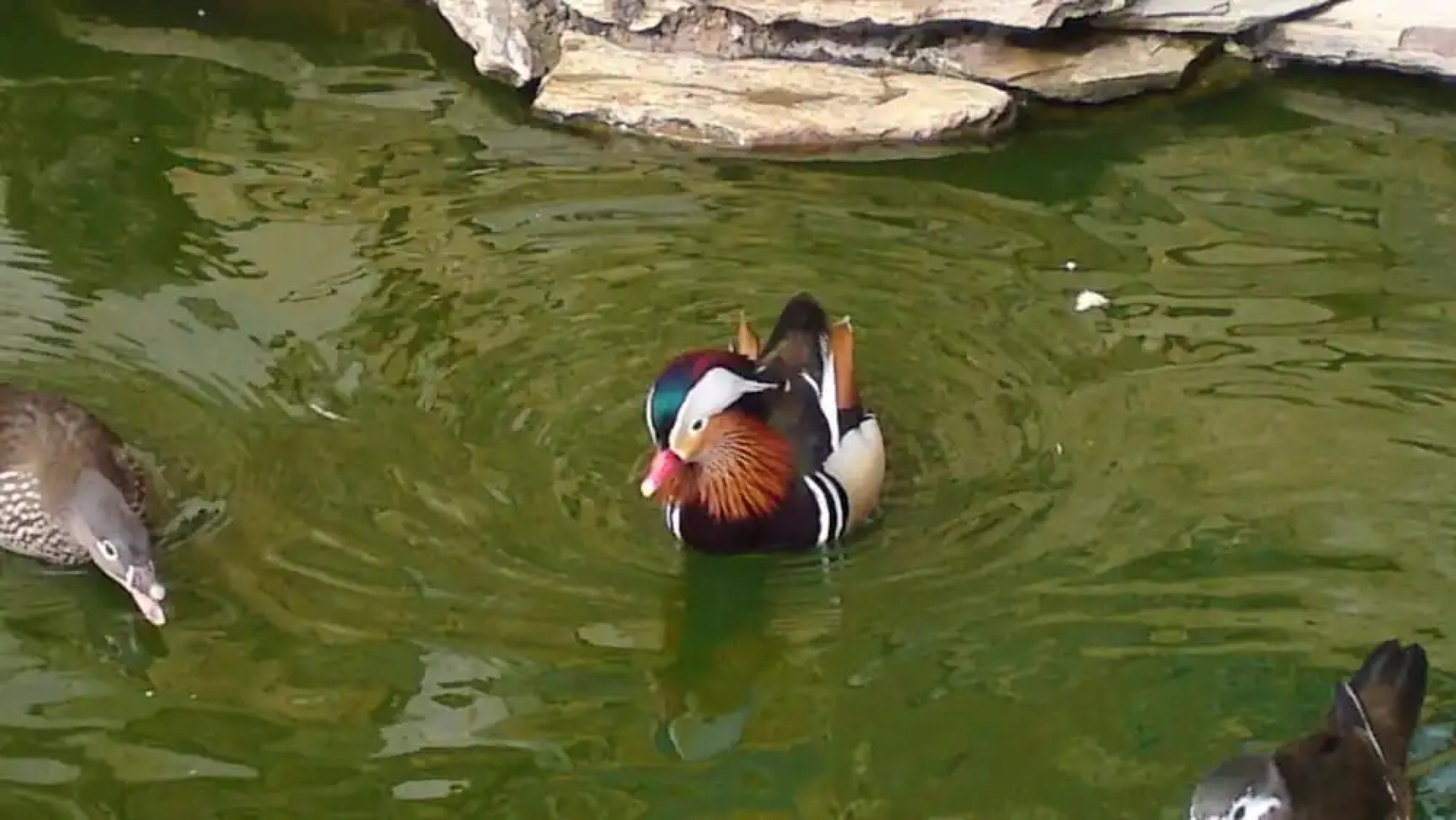 Casa Rural O Ventorrillo