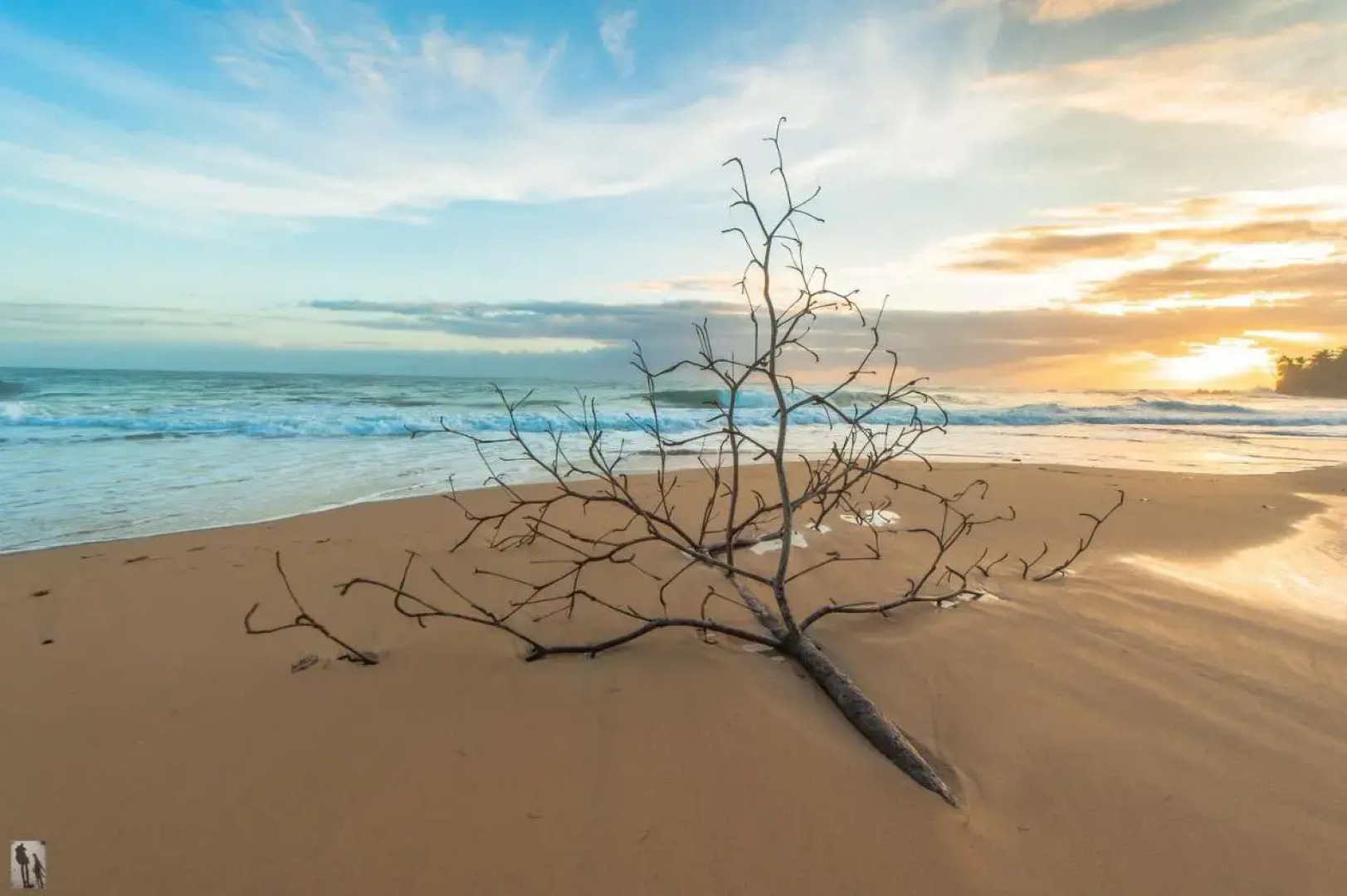 Bocas Condos Rentals