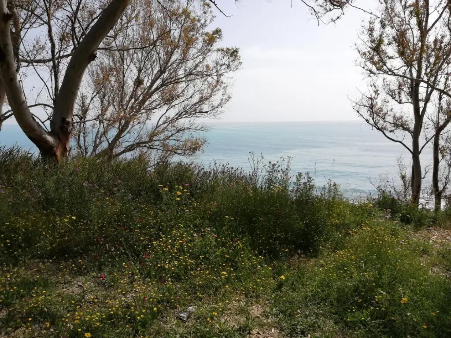 Residence Conchiglia