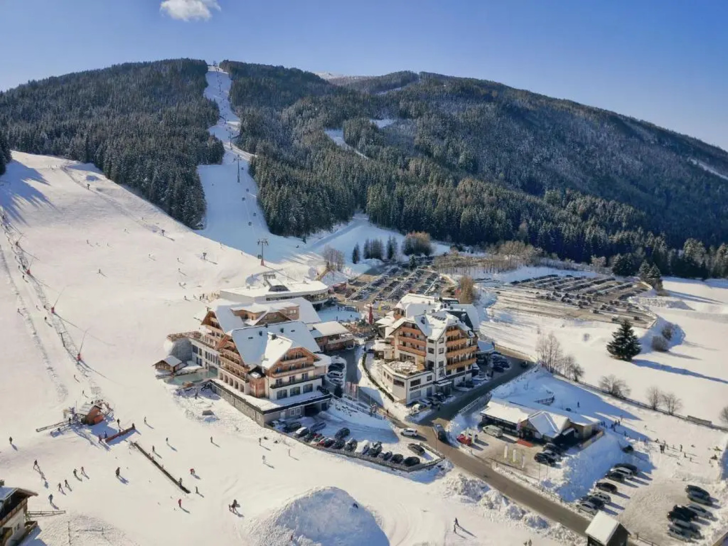 Alm.Gut - das Vital und Relaxhotel