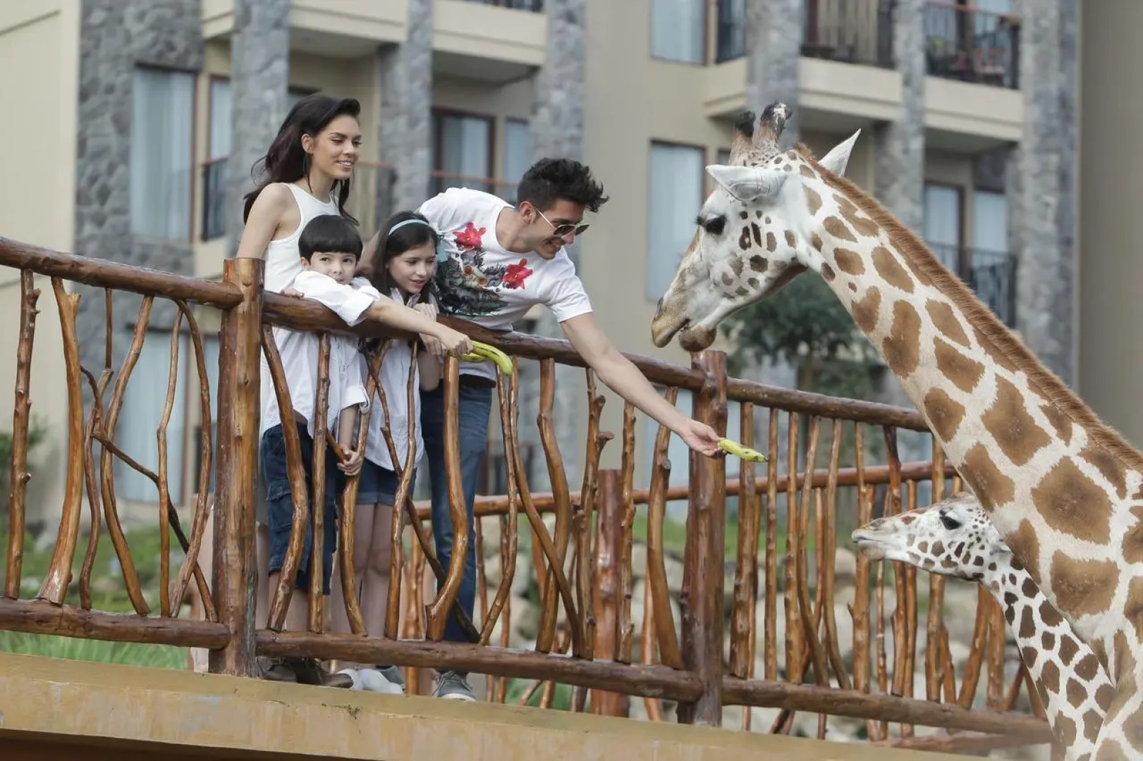 Baobab Safari Resort