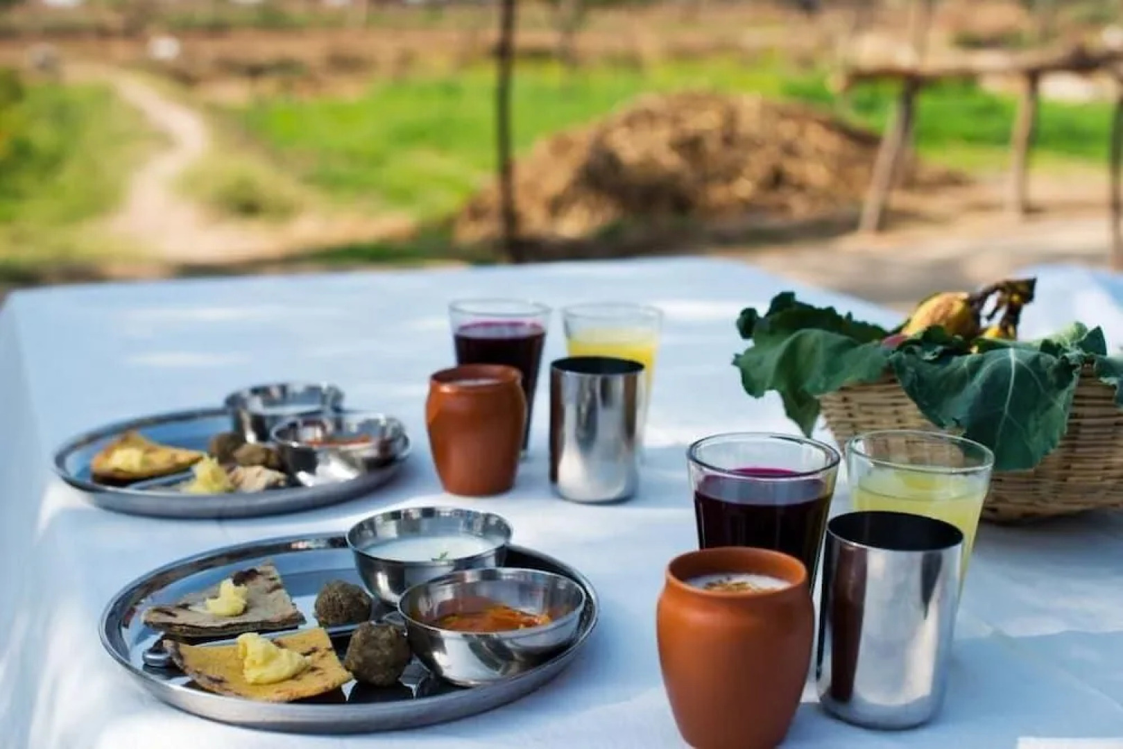 Brij Lakshman Sagar, Pali